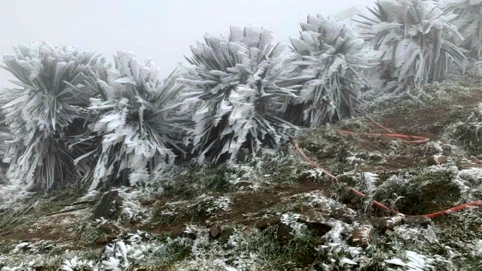 Strong cold spells likely to grip Vietnam in coming two months